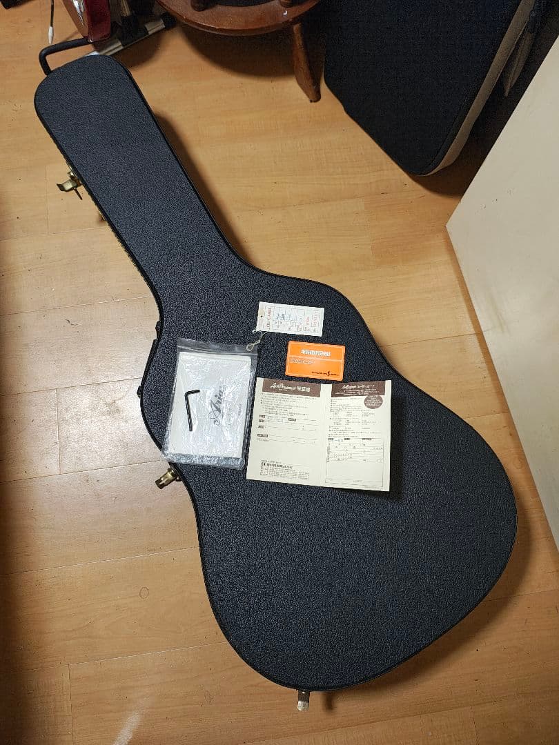 オール単板/Aria AF60/ハードケース