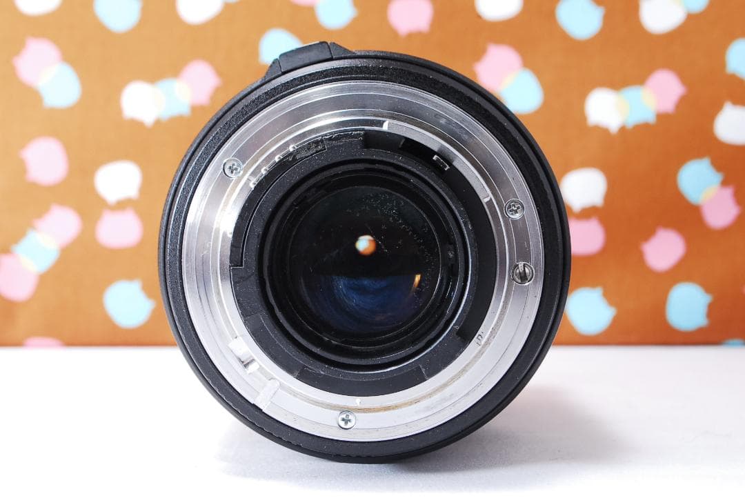 ✨状態良好✨ハイアマチュア機✨Nikon D100 レンズセット