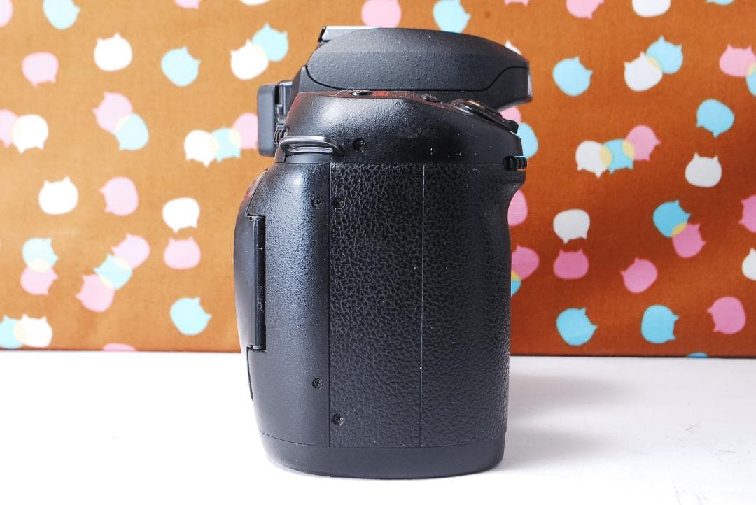 ✨状態良好✨ハイアマチュア機✨Nikon D100 レンズセット