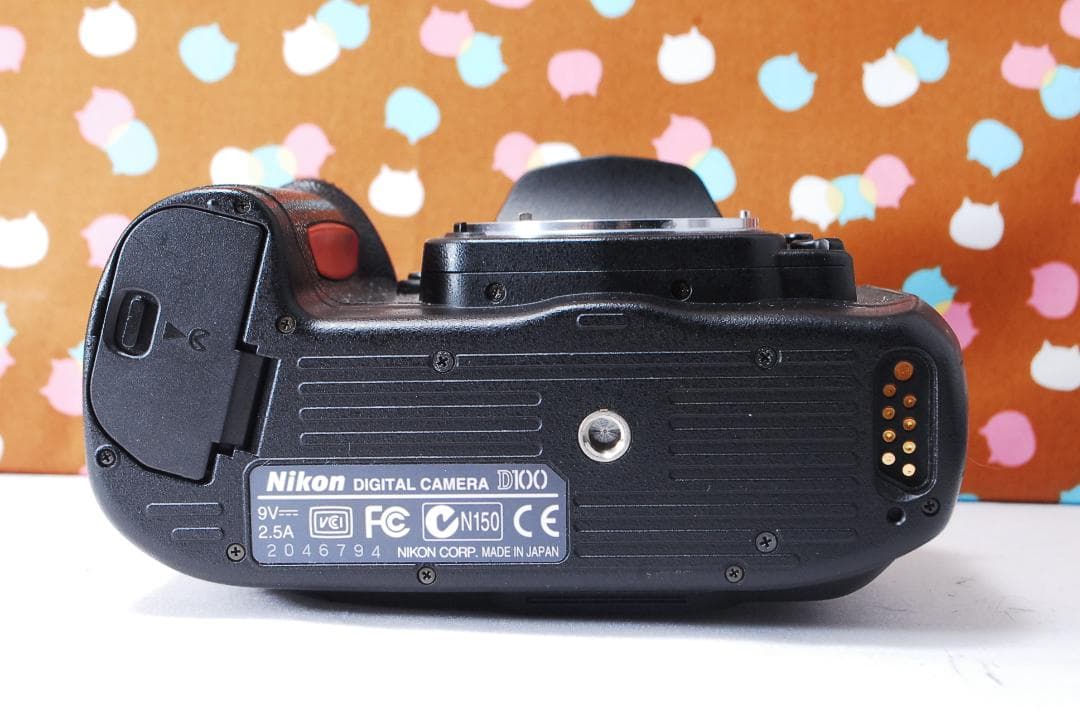 ✨状態良好✨ハイアマチュア機✨Nikon D100 レンズセット