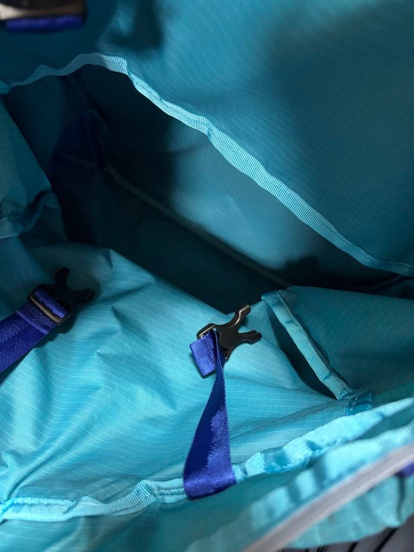 ✨美品　patagonia ウルトラライトブラックHole Tote Pack