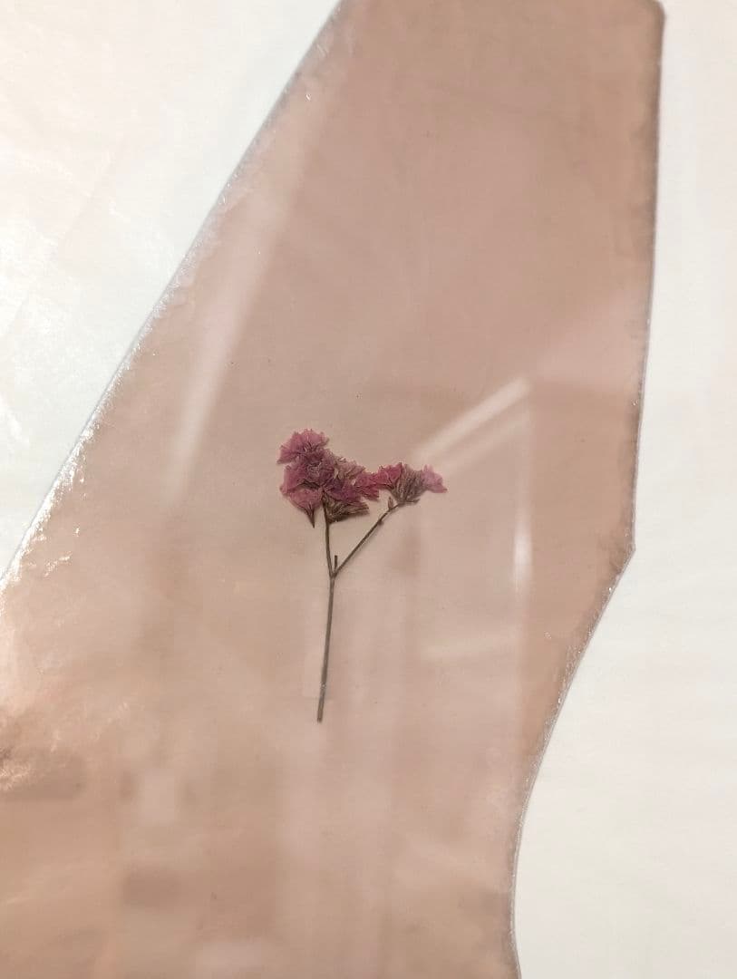 鉱物標本　mica +dry花 2点対雲母原石