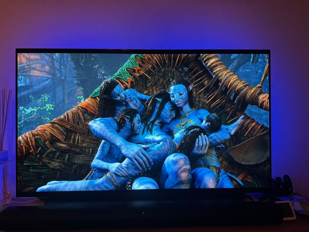 LG 有機ELテレビ OLED55C9PJA 55インチ 4K対応