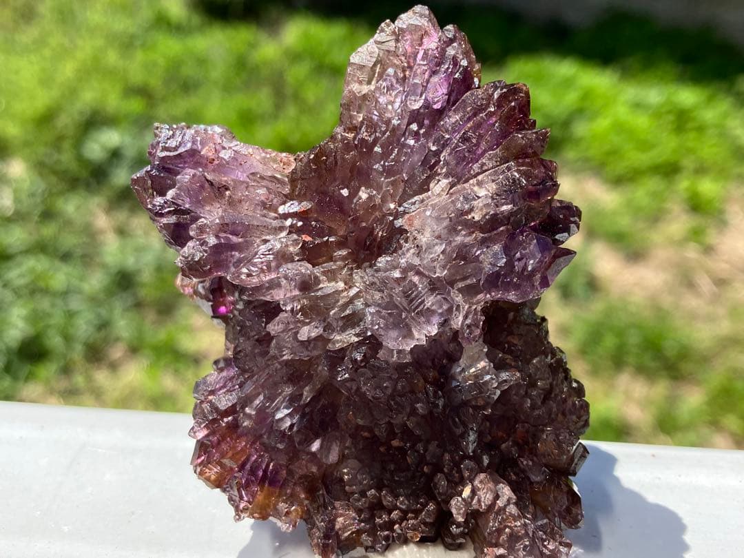 ウサマメ　レッドファントムクォーツ画像追加