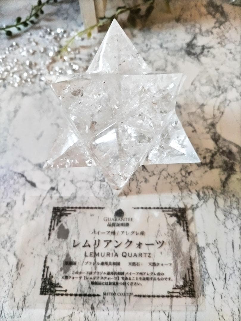 花*種様 レムリアン水晶アステロイド（最長幅9.5cm 、約389g）
