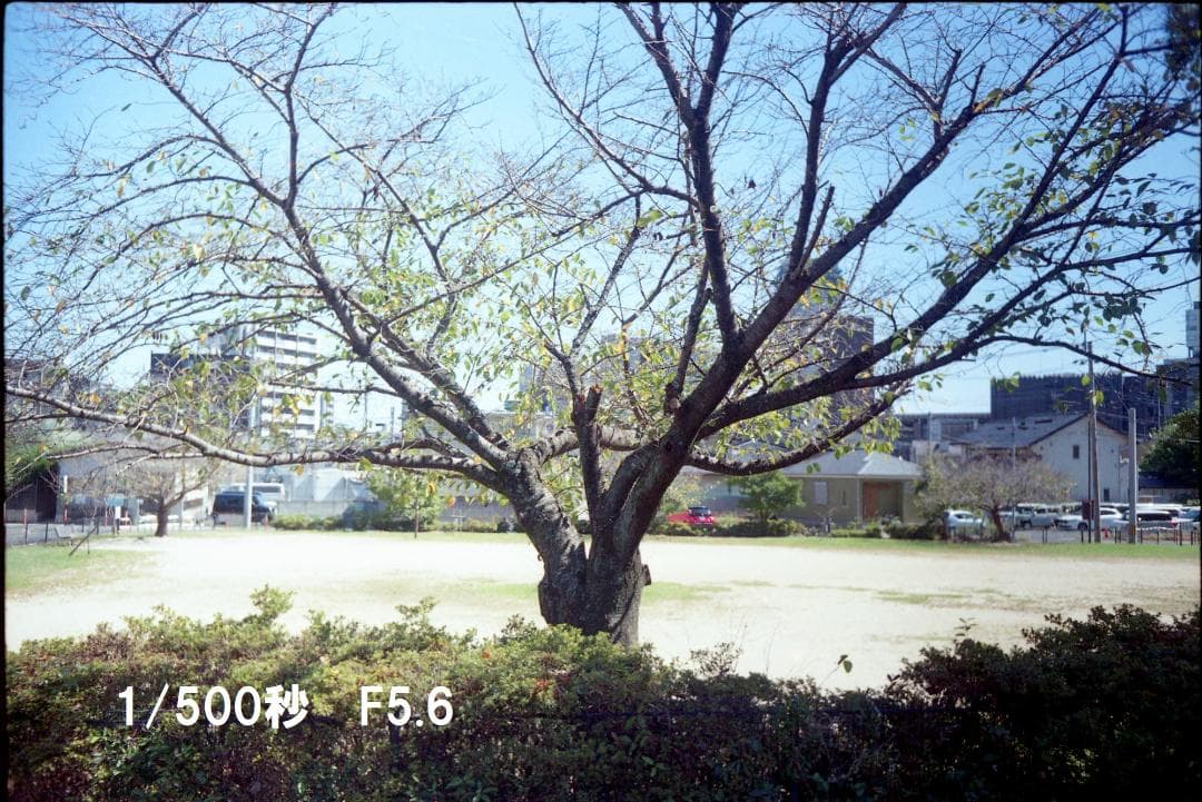 仏フォカ　オプラー 3.5/35ミリ　レンジファインダー用レンズ　レア