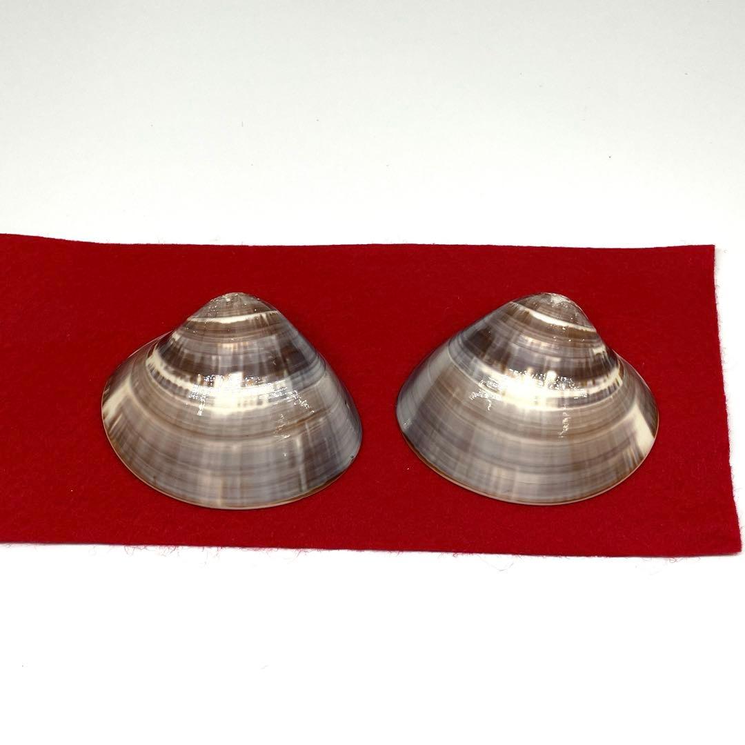 ひな祭り　桃の節句　雛道具　花柄びわ&お琴貝セット