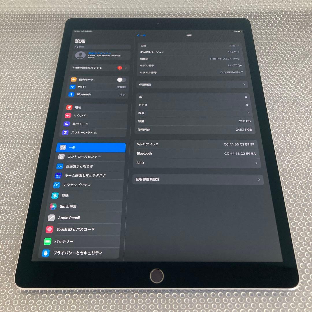 2646 外観美品☆iPad Pro 256GB 12.9インチ WIFIモデル