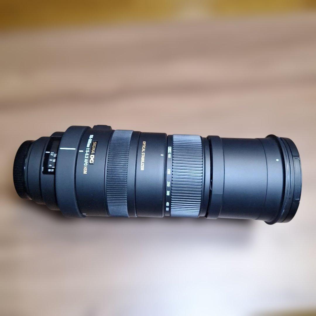 ★SIGMA★シグマ★APO150-500F5-6.3DG