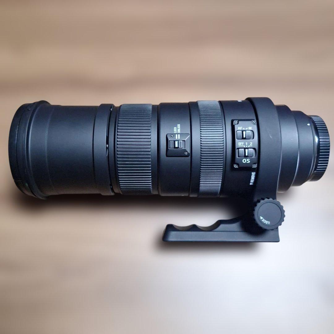 ★SIGMA★シグマ★APO150-500F5-6.3DG