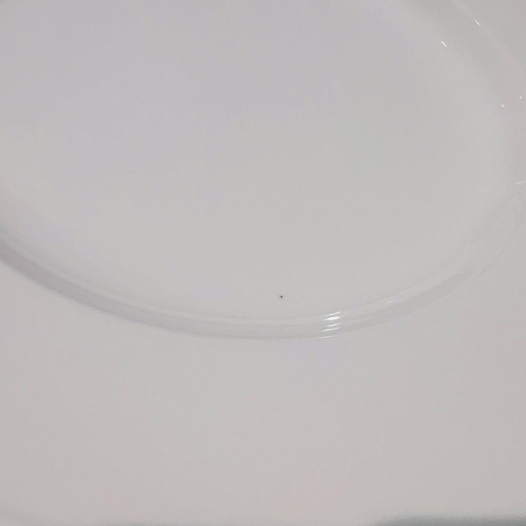 Crate & Barrel STACCATO プレート皿セット