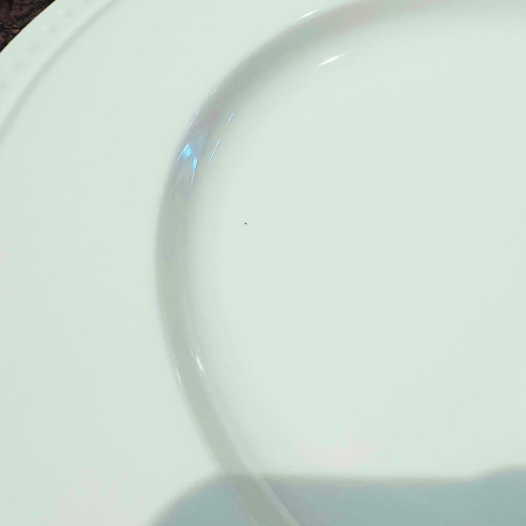 Crate & Barrel STACCATO プレート皿セット