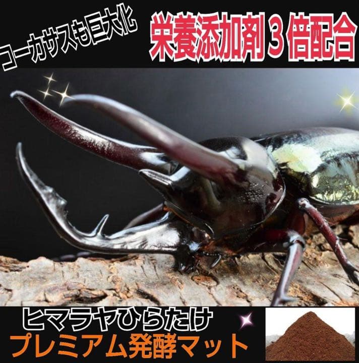 極上☆ギネス狙いに！プレミアム3次発酵カブトムシマット【5袋】特殊アミノ酸強化！