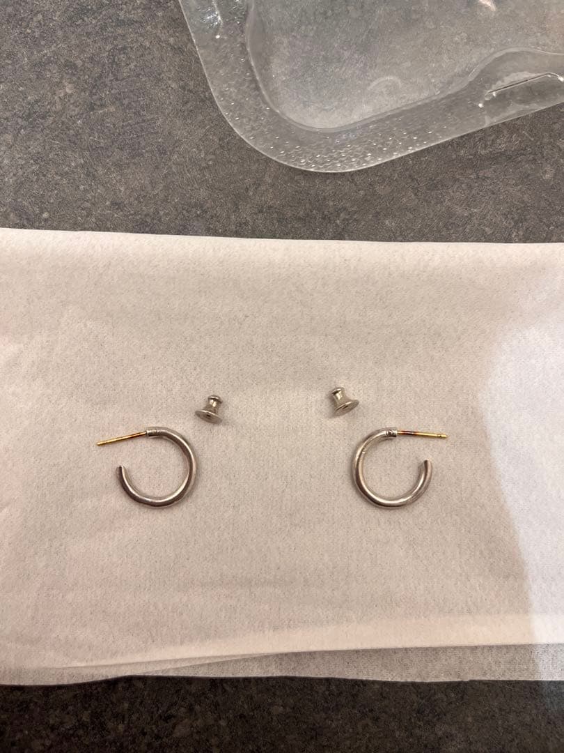 CAREERING 301 PLACEBO シルバー 両耳