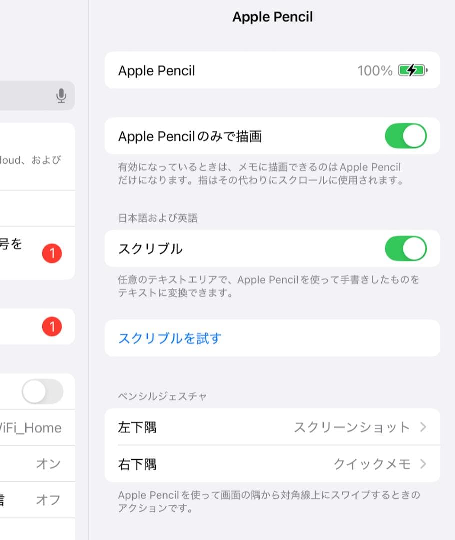 【美品】Apple Pencil アップルペンシル 第1世代 Type-C