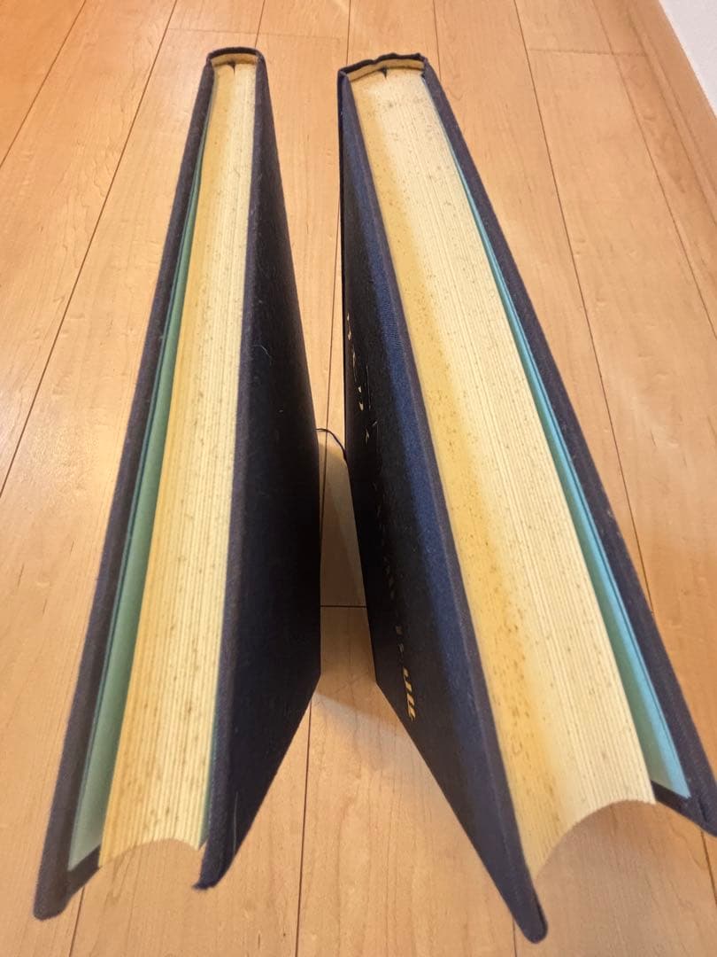 【割引】ケモタイプ精油事典 処方集 Ver.6 ナード アロマテラピー NARD