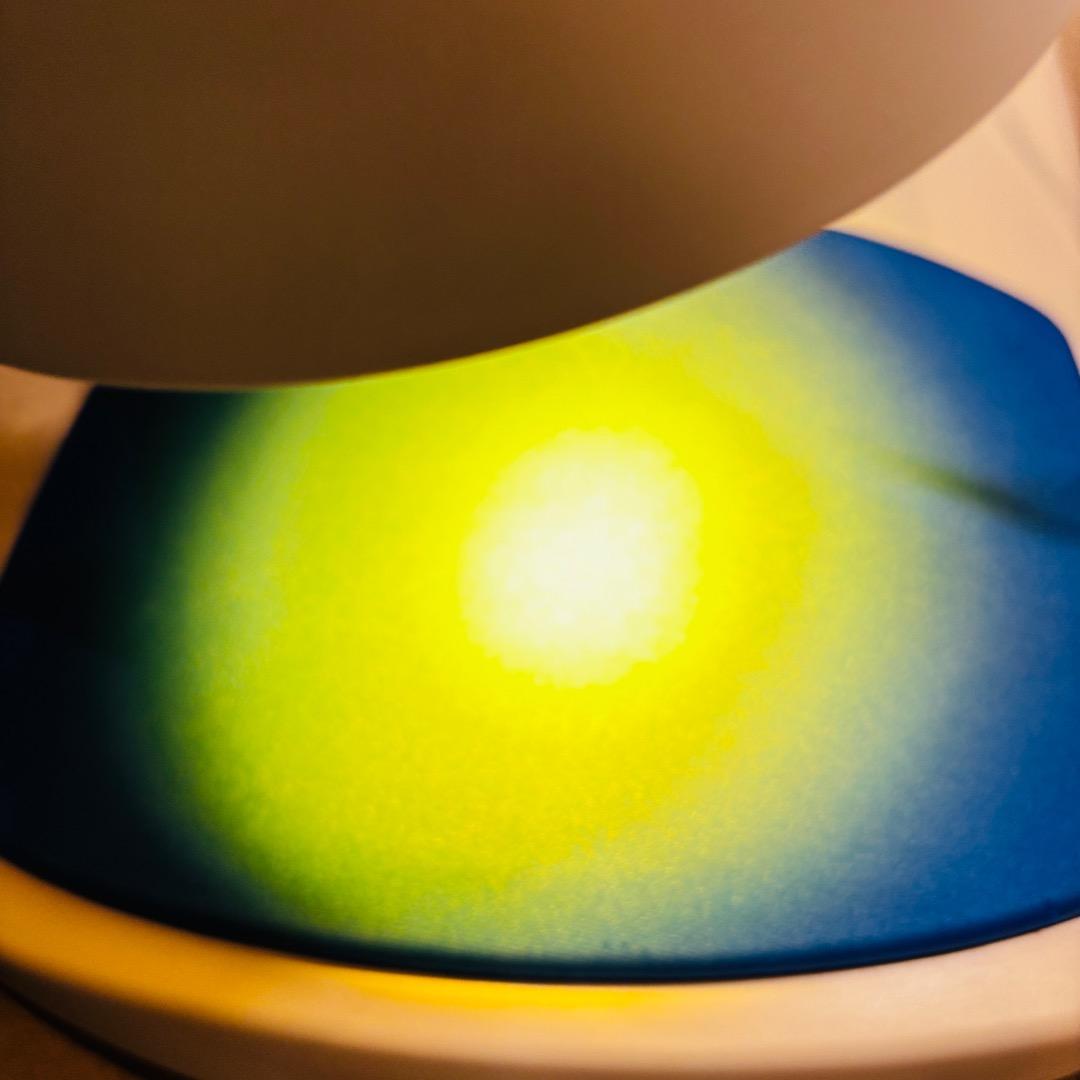 バイオプトロンプロ1 bioptron Pro1　美顔器 2023年購入品