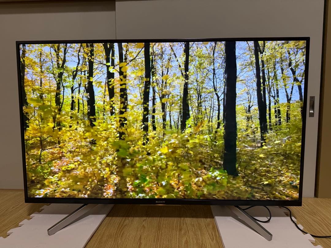 ソニー　KJ-43X8000G 43型2019年製⭕️地上 BS/CS動画可テレビ