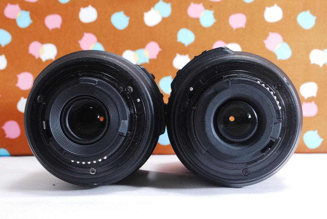 ✨美品✨Wi-Fi搭載機種✨Nikon D5300 ダブルレンズセット