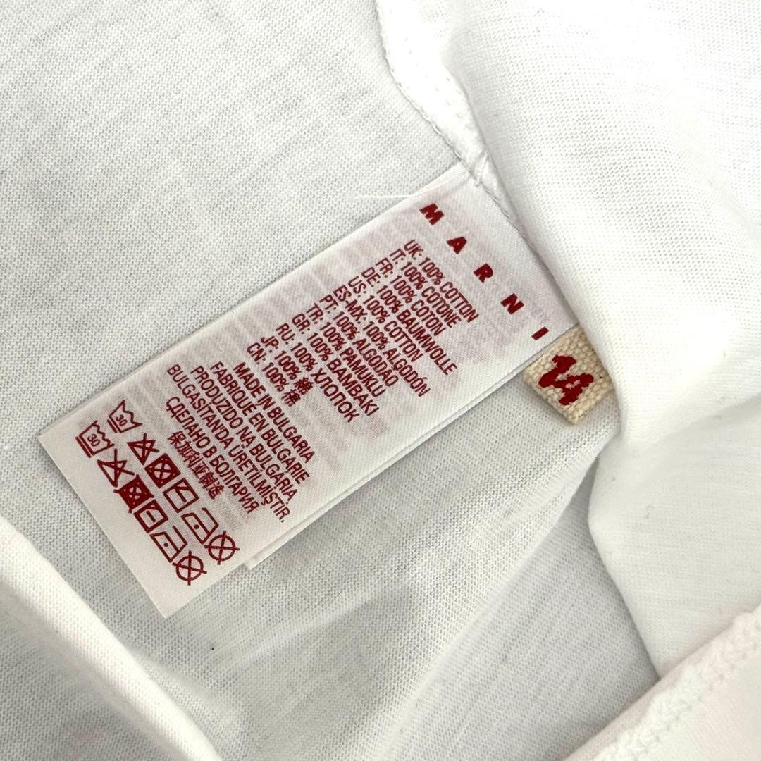 新品未使用MARNI キッズ 2025SS ロゴ Tシャツ 大人もOK！