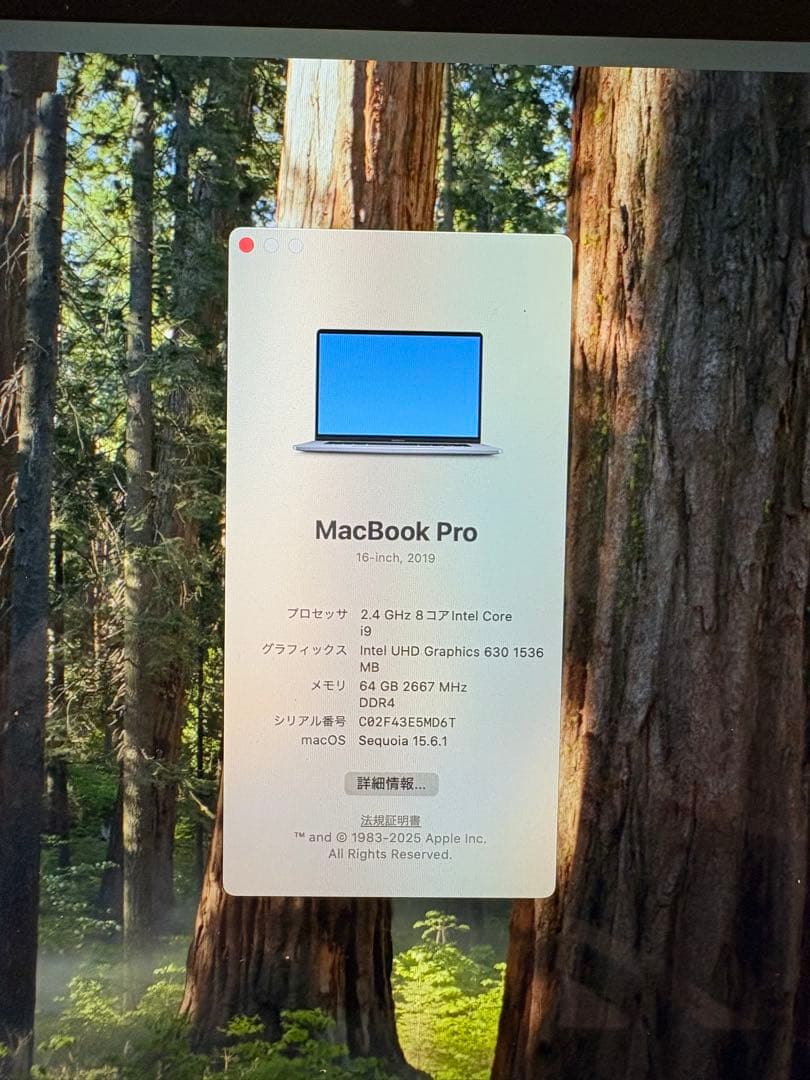 Apple MacBook Pro (2019) 本体 スペースグレー