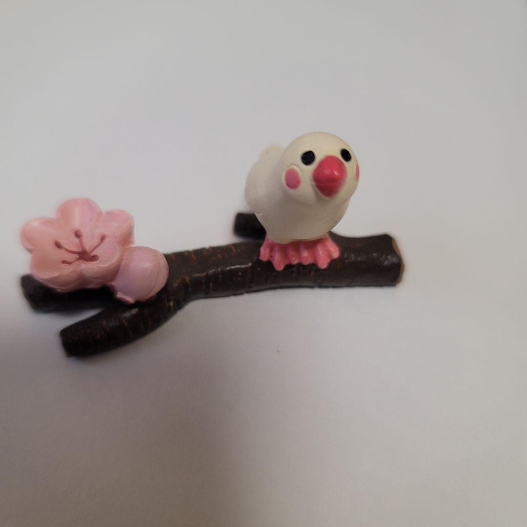 コンコンブル　デコレ　11個セット