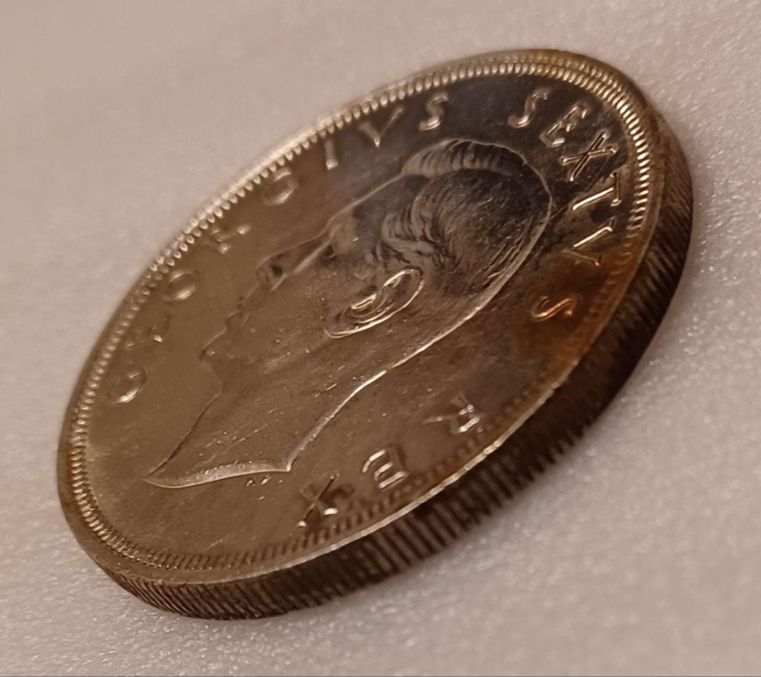 最大2m以上跳ね上がる能力、身体能力の高さと美しい姿\"スプリングボック\"の銀貨