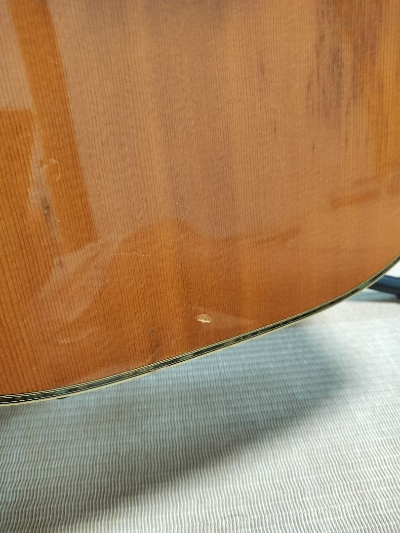 Morris TF-60　貴重　ハカランダ！　 ギグバッグ付き　今月で終了！