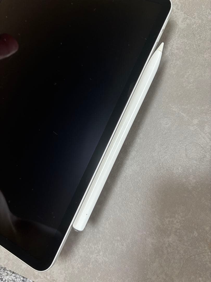 Apple iPad Pro 11 第2世代　256GB Wi-Fi