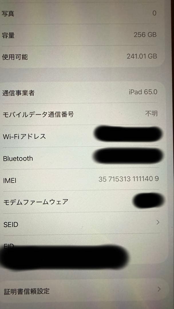 【早い者勝ち】【美品】iPad mini 第7世代 256GB Cellular