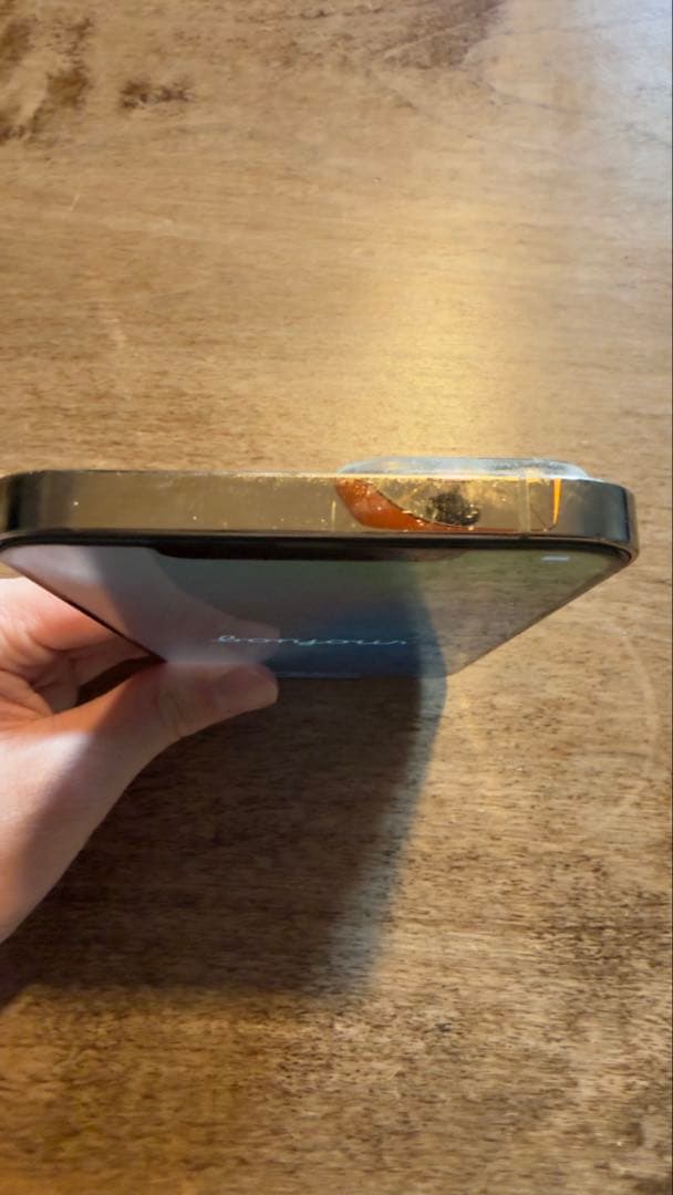 iPhone 12 pro max 即日発送のネコさん専用