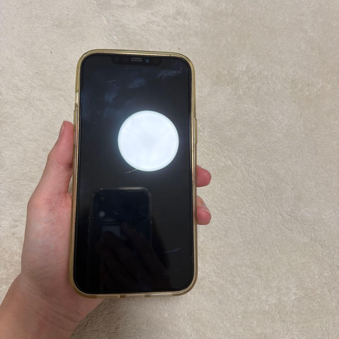 iPhone 12 pro max 即日発送のネコさん専用