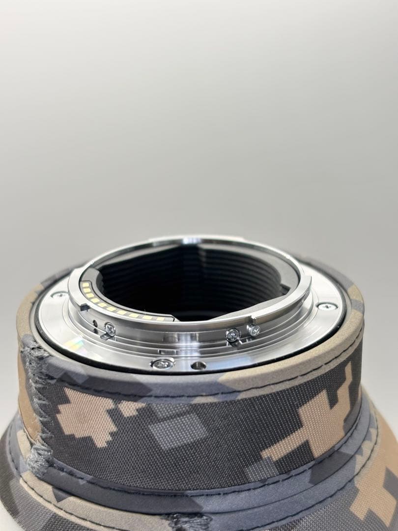 【おまけ付】SONY (ソニー) FE 300mm F2.8 GM OSS