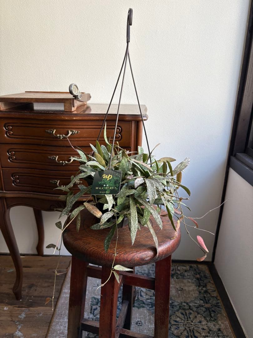 さちママ 2点同梱