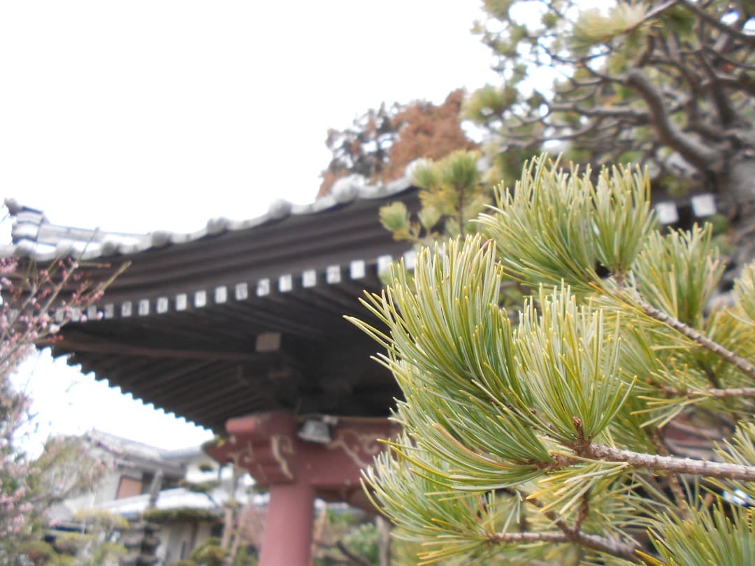 実写美⭕️【動作確認済】Nikon COOLPIX S3100 デジカメ