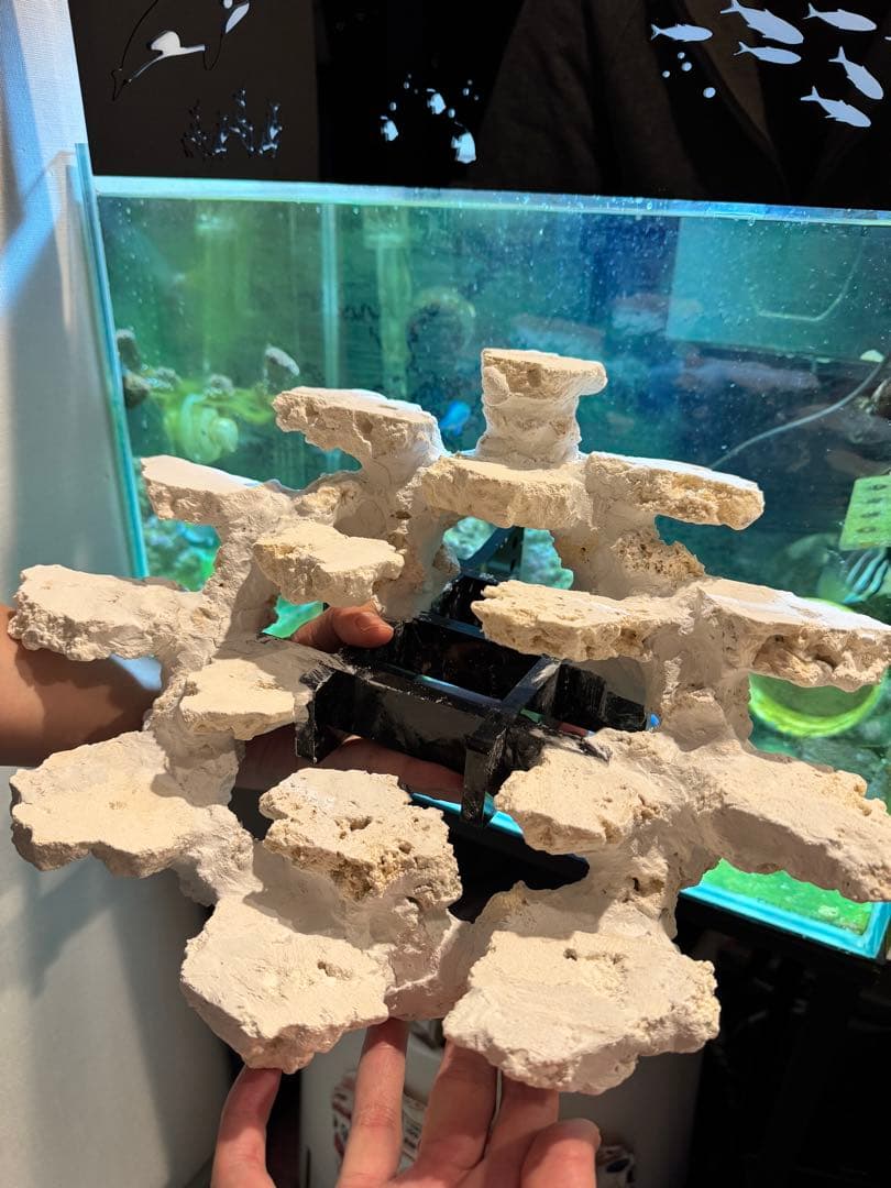 人工ライブロック白色 約5kg 吊り下げ風レイアウト