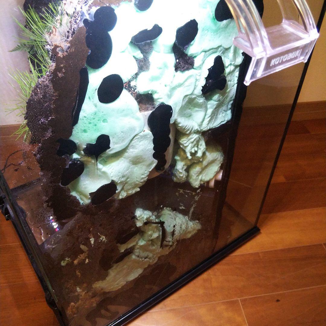 滝のあるアクアテラリウム完成品