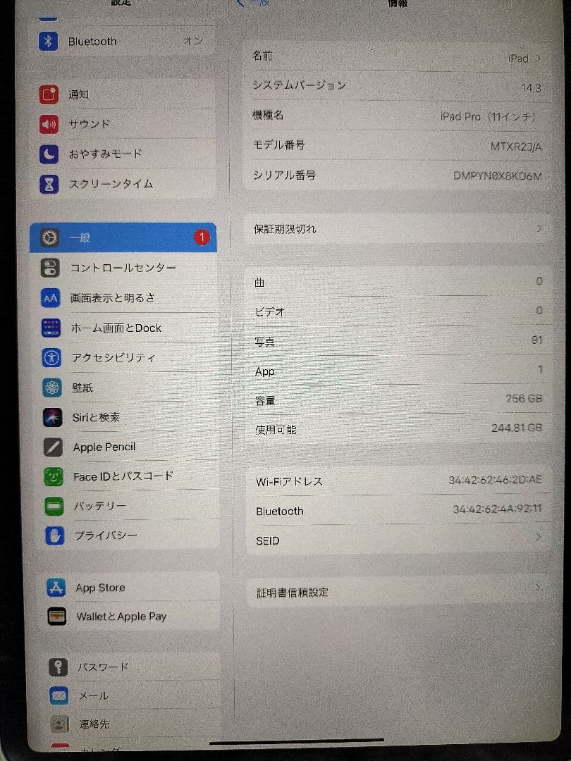 【soraさん専用】Apple iPad Pro (11インチ) 256GB