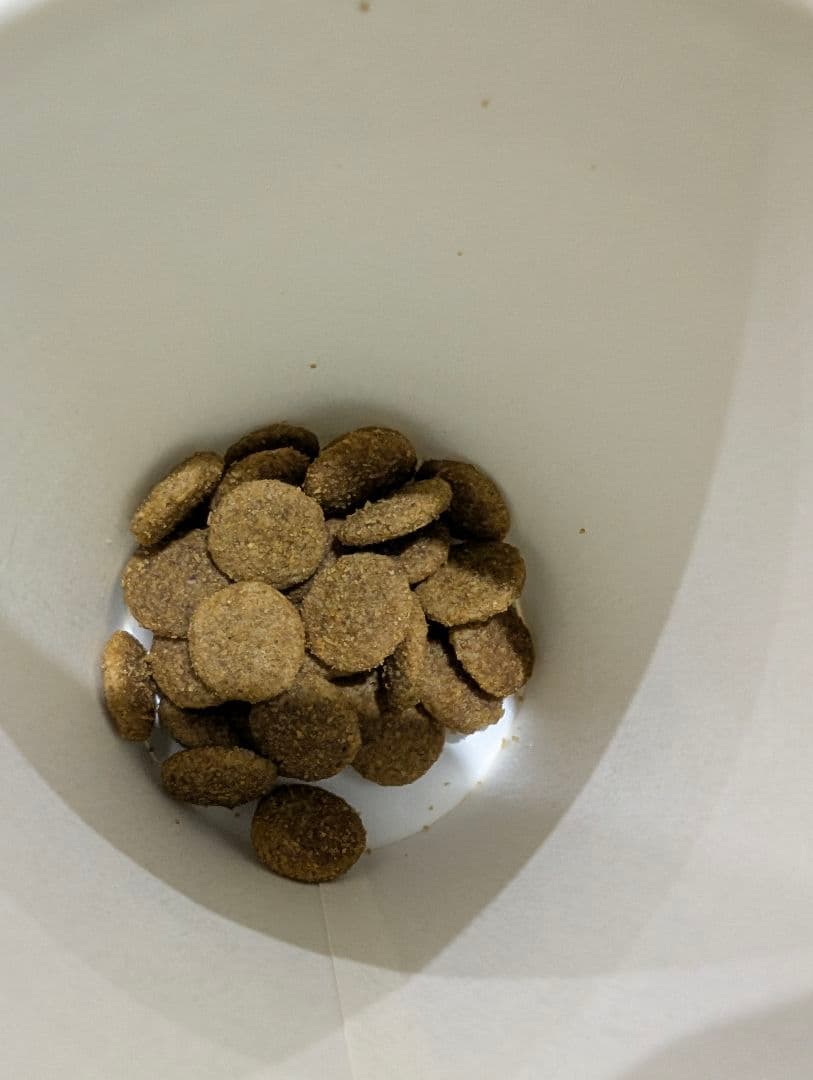 16日まで限定値下げファーストチョイス　成犬用チキン　18キロ