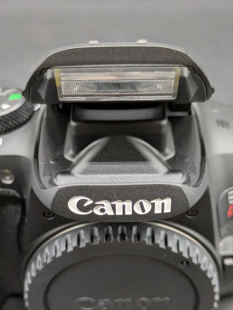 ふらふら Canon EOS Kiss X10i マクロ＆ズームレンズ付き