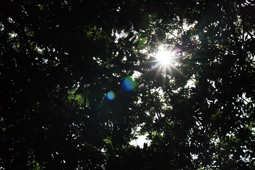 【極美品】動作◎ ニコン　Ai Nikkor 50mm F1.4 758