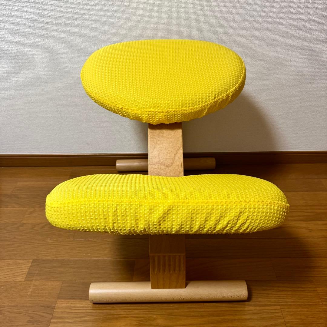 【美品】バランスイージー Rybo リボ社 バランスチェア 姿勢改善 カバー付き
