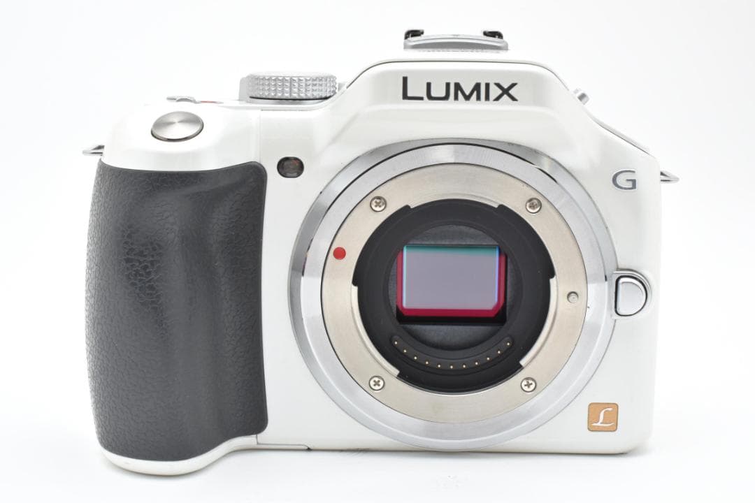 ★難あり品★パナソニック ルミックス DMC-G5 ボディ #21320