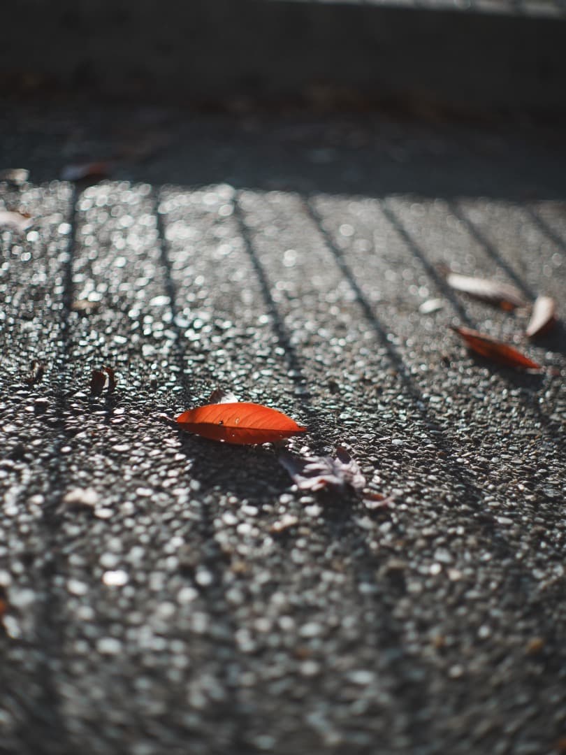 【1961年製　貴婦人】Leica Summilux 50mm