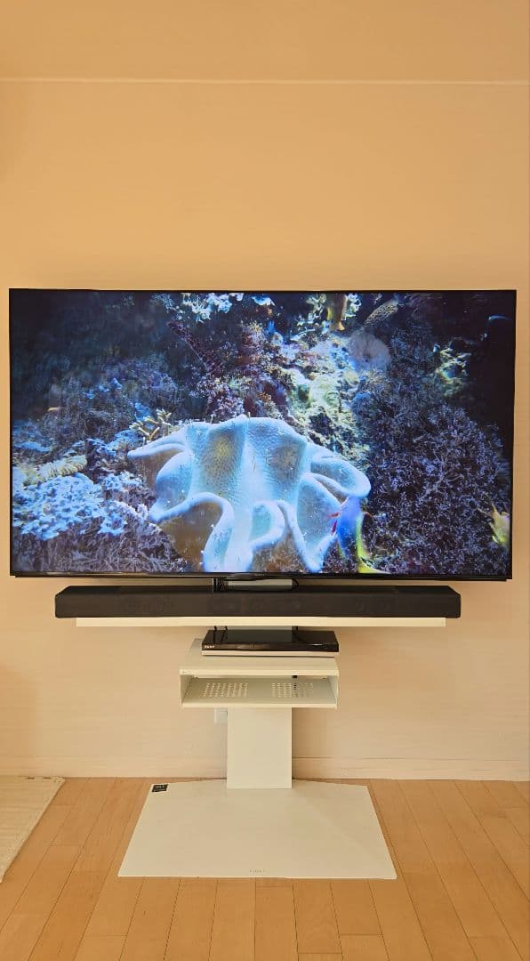 保証付 SONY XRJ-75X95J 75型4K液晶WALL TVスタンド