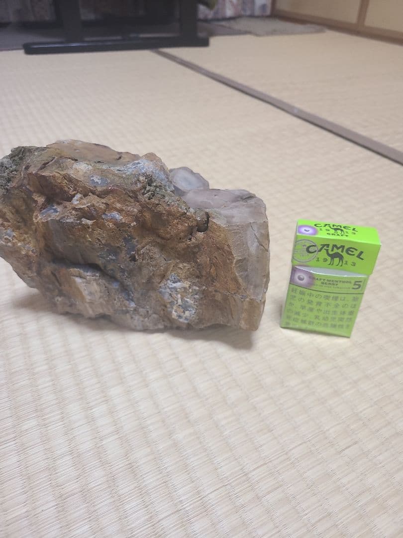 珪化木(3.8キロ)