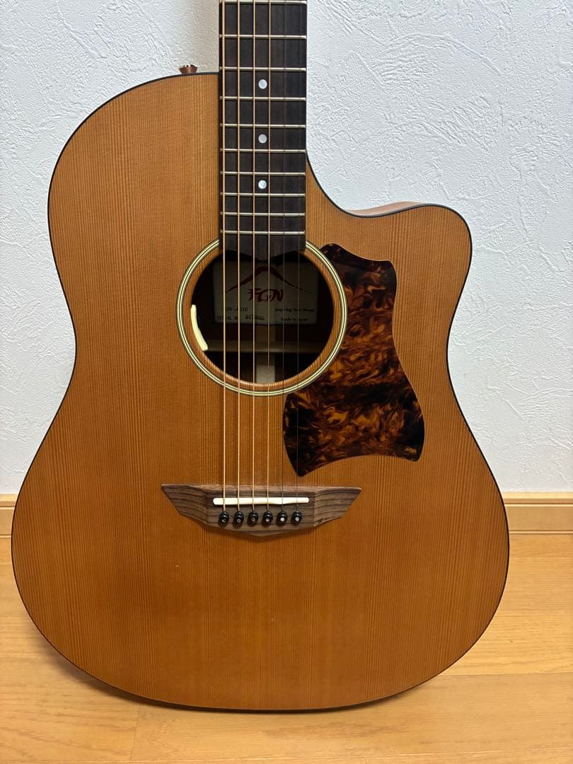 たけC　FGN AG1E