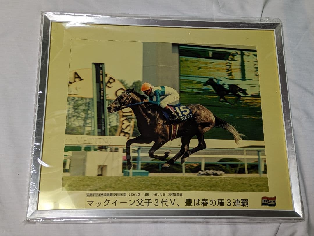 メジロマックイーン　武豊　天皇賞春　競走馬　写真パネル　額縁入り
