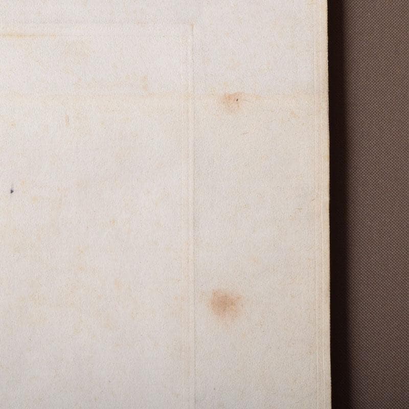 掛軸　池田桂仙筆　蝙蝠図　「福自天来」　C　8678