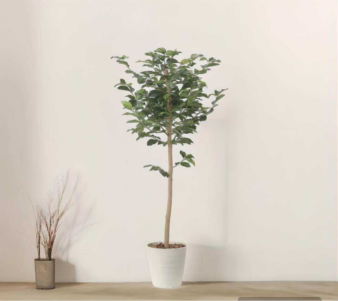 光触媒　人工観葉植物　ウォールグリーン　フェイクグリーン　レモンツリー1.6